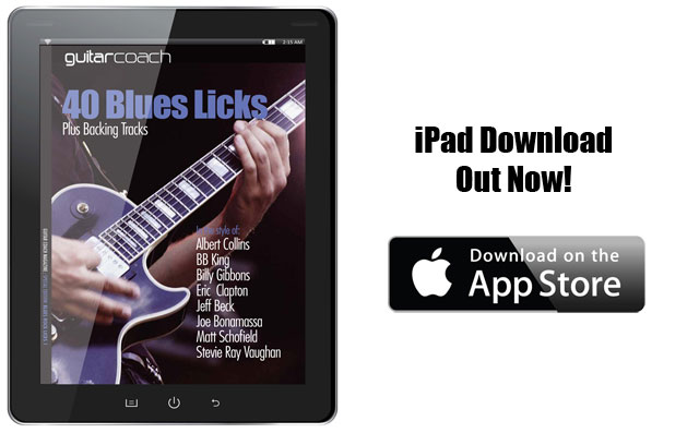 40 Blues Licks