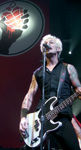 Green Day Bassist Mike Dirnt